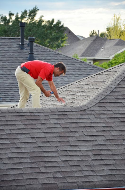 Manual Roof Inspection
